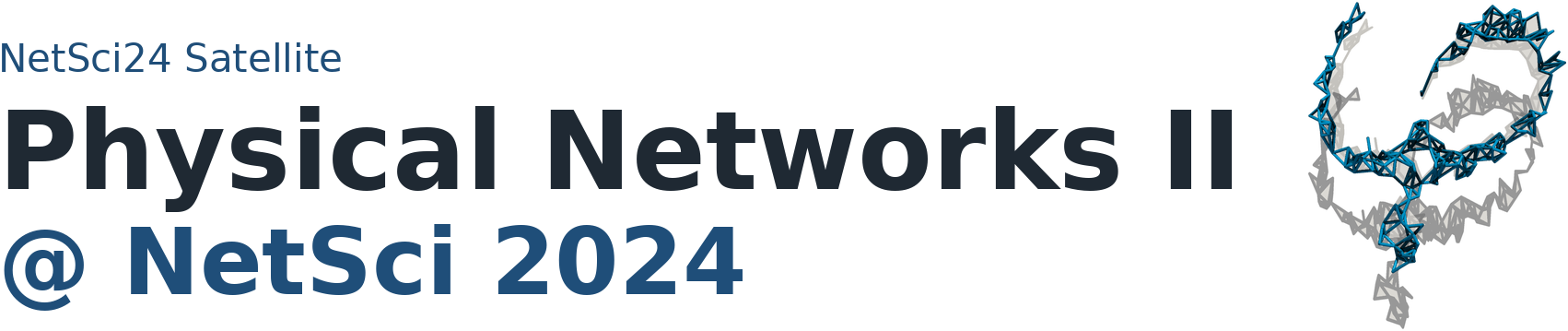 NetSci24 Satellite: Physical Networks II at NetSci 2024