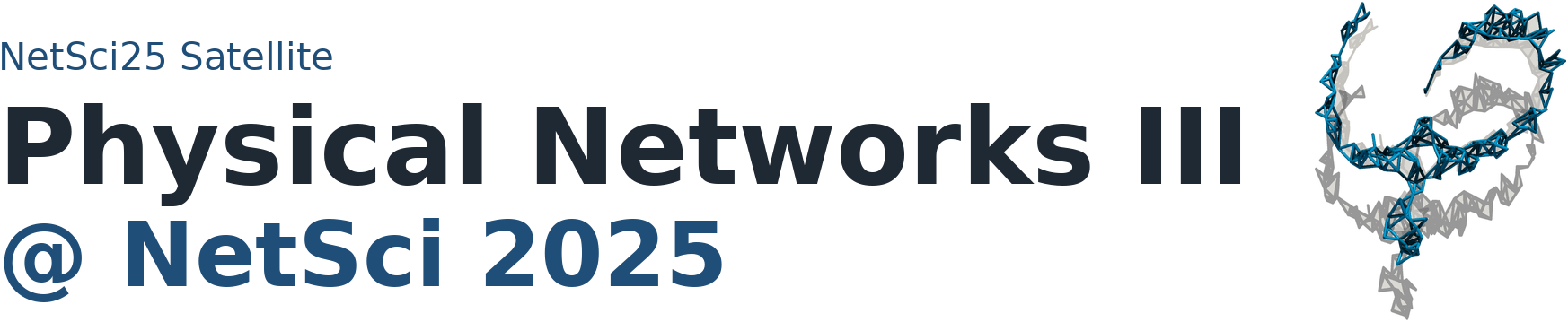 NetSci25 Satellite: Physical Networks III at NetSci 2025