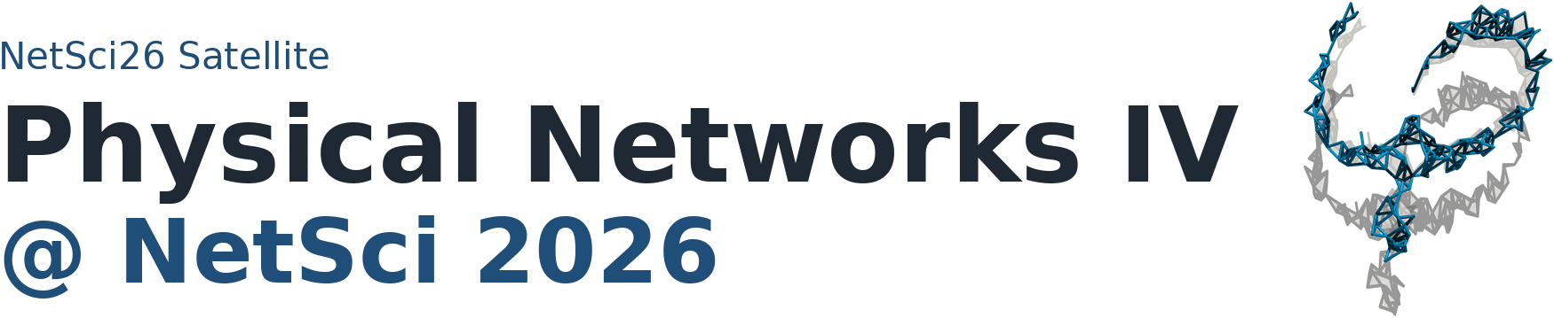 NetSci26 Satellite: Physical Networks IV at NetSci 2026